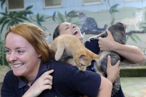 Help avoid a cat-astrophe