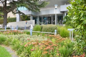 Council votes for CISS funding increase