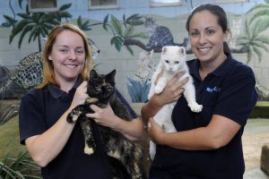 Feline-friendly target met