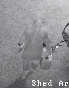 Dear gear stolen
