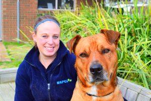 Pet adoption fees slashed