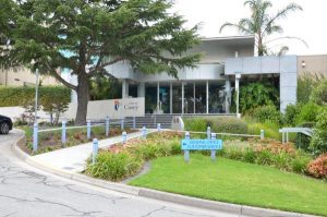 Council’s plans go digital