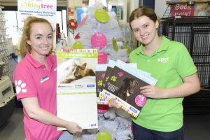 Rescue pets lend a paw for fellow pets