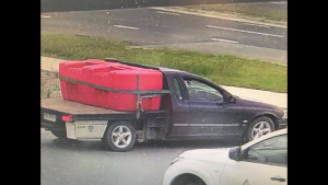 CCTV catches massive petrol drive-off
