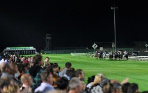 Industry honoured in night race meet