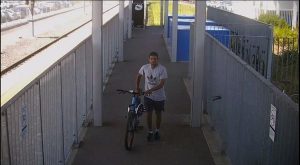 Male takes off with bike
