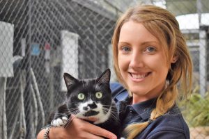 Adopt a pet this weekend