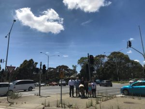 Council supports crossing supervisors