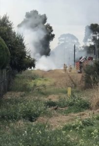 Police investigate grass fire