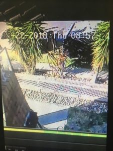 Caught on cam