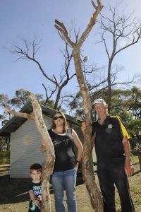 Call for action on dangerous trees