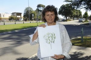 Turning a new leaf at Bunjil