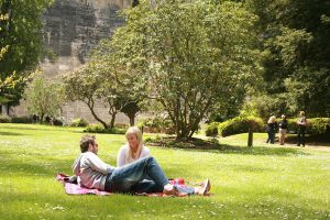Three…parks and gardens to explore in the City of Casey