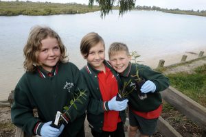 Planting for a greener future
