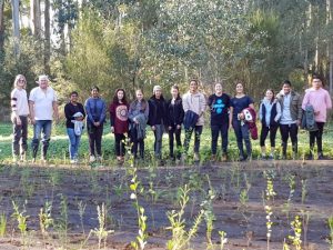 Students roll up their sleeves