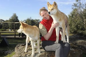 Q and A with Lisa Tuthill