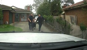 Goat leads council on hot pursuit
