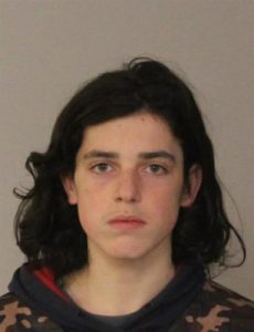 Police search missing teen
