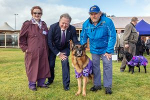 Dogs of war remembered