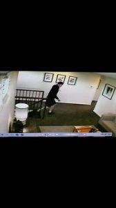 Video clue for man on the run