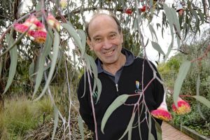 Q and A with Lex Nieboer