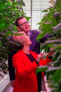 Free TAFE courses up for grabs