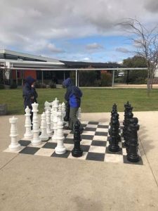 Giant chess fundraising journey
