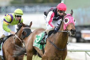 $40m racing investment