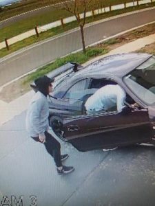 Police hunt for thieves