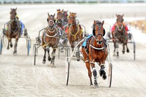 The Inter Dominion is coming