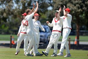 Swans and Panthers in a thriller