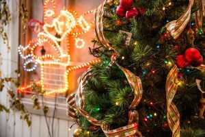 Forgiving tree helps those in need