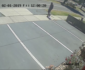 Cop hunt for intruder