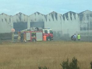 Fire hits garden nursery