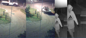 Car thief wanted