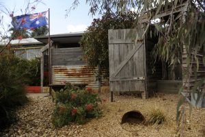 A home among the gum trees