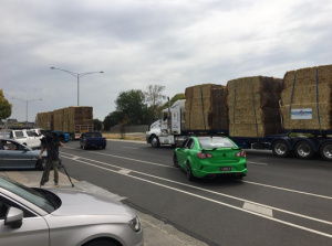 Tonnes of hay and feed donated