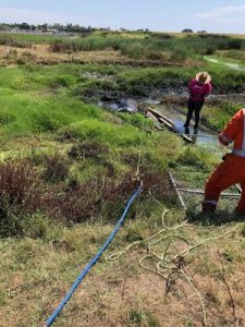 Horse rescued from mud pit