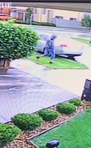 Burglars drop in