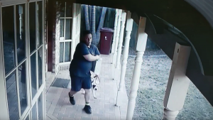 Mail theft caught on cam