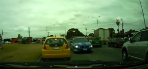 Wild chase