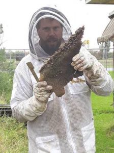Hive surprise causes a buzz