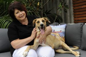 Charm finds a new home