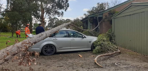 High winds cause chaos