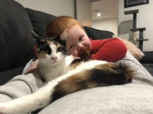 Casey cat rescuer brings joy to family