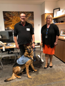 Councillor calls for ‘fairer’ dog law