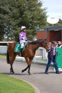 A day of picnics and sunshine at the races