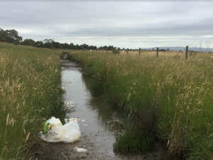 Farm ‘trashed’ after high winds