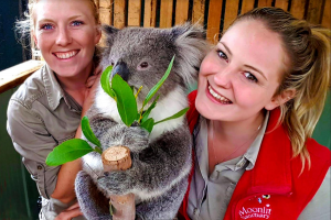 Wildlife sanctuary bags another award