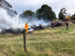 Utility pole goes up in flames